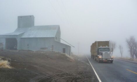 Be Kind to Truckers Image